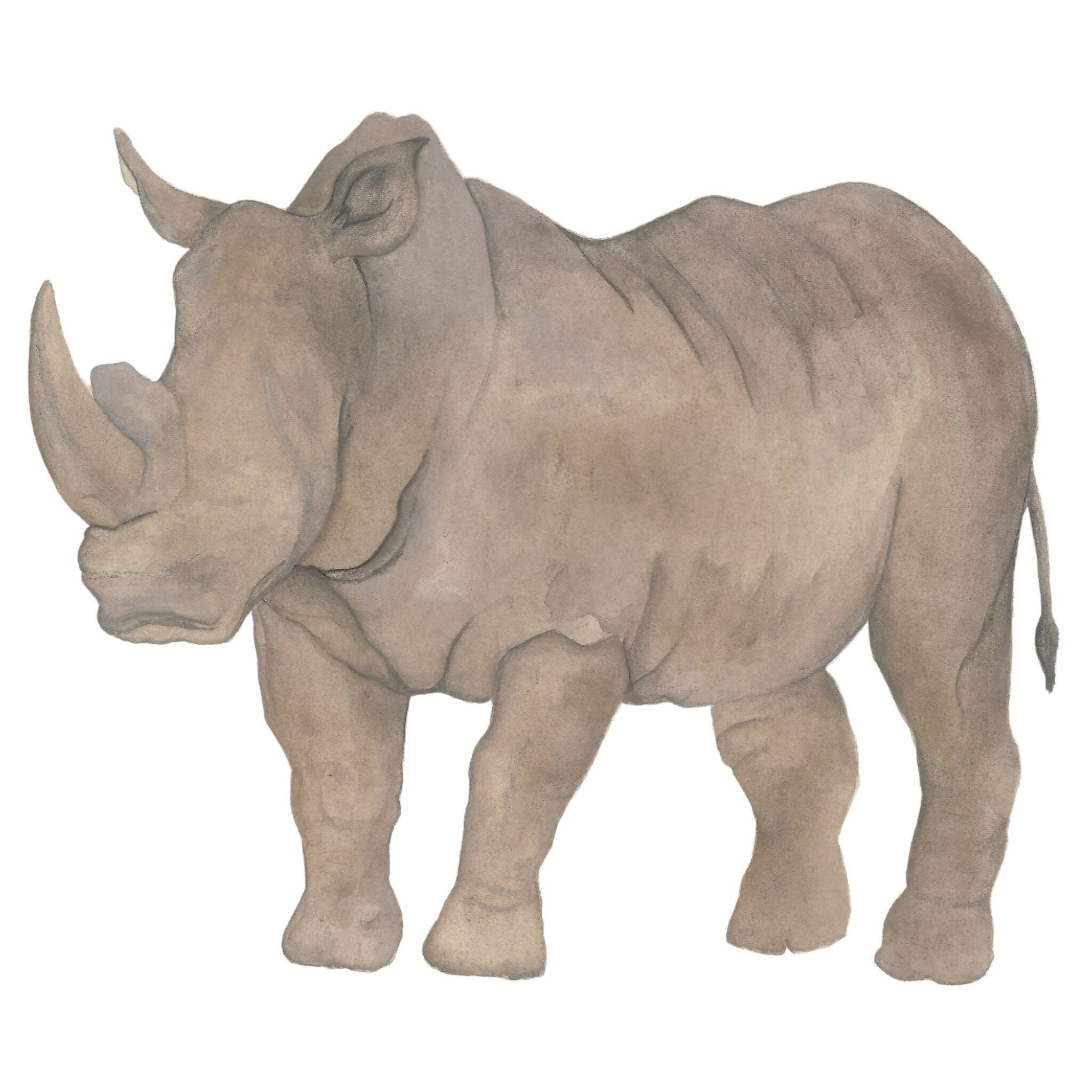 Rhino Giclée print
