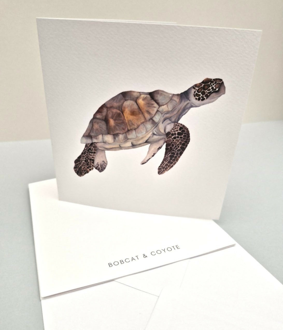 Turtle Greeting Card