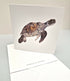 Turtle Greeting Card