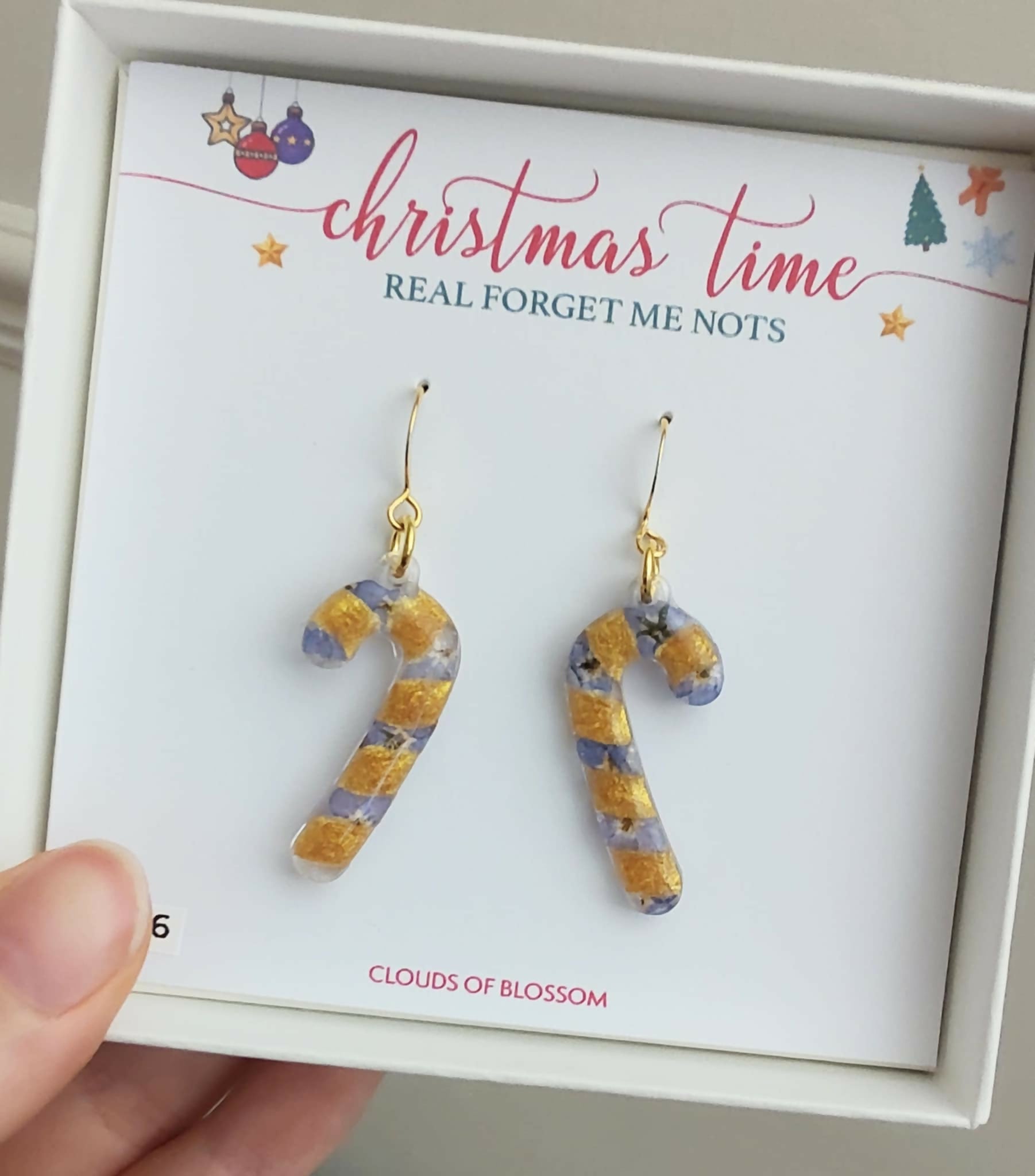 Christmas Candy Cane Forget Me Not Real Flower Earrings Gold Plated