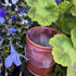 Red & Rust Bowl
