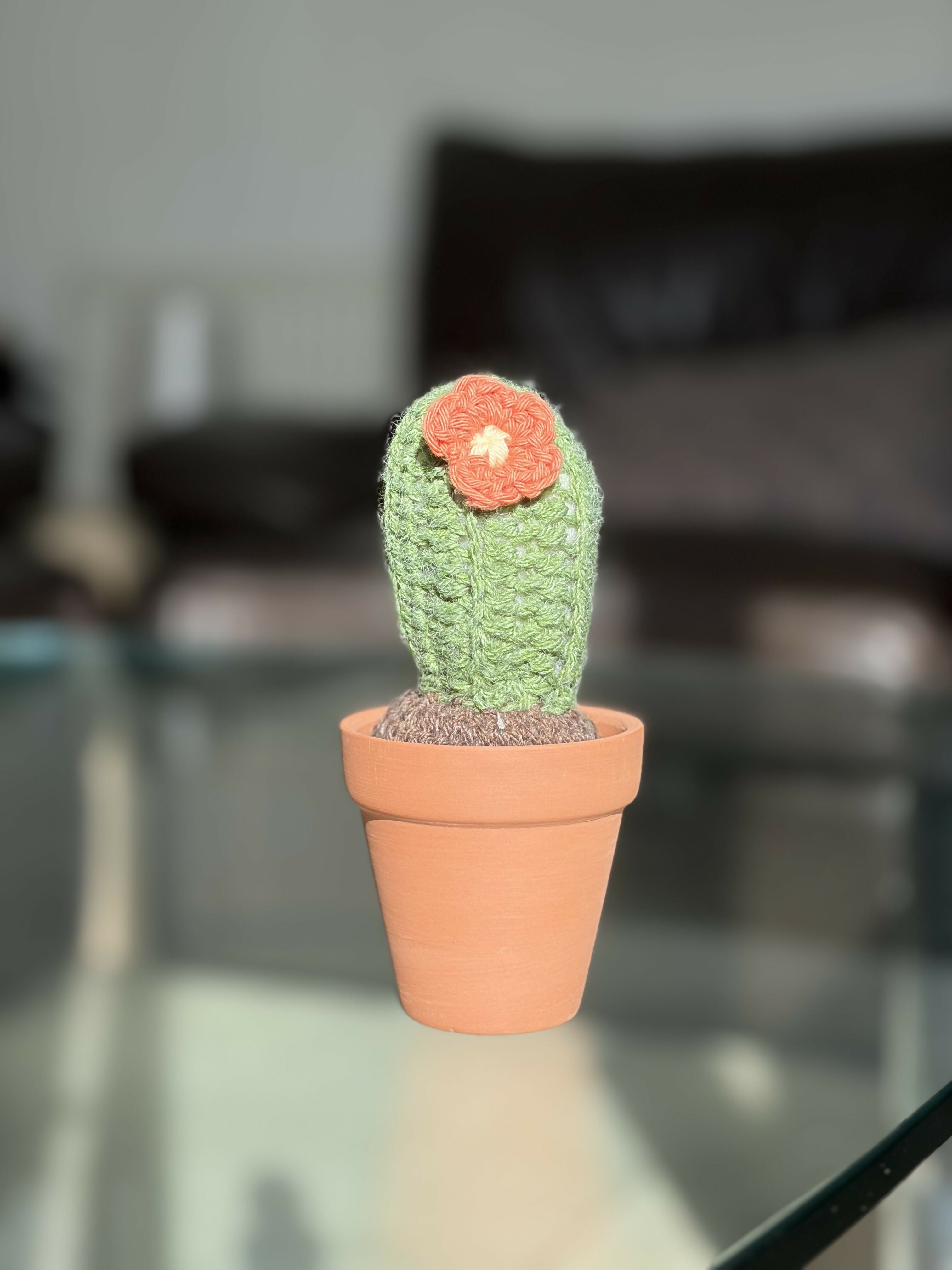 Crochet Potted Cactus