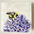 White Bumblebee - Greetings Card