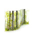 Summer Woodland Wave