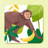 Monkey Coaster