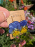 REAL PURPLE PANSY EARRINGS