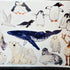 A4 Wild birds Prints