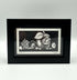 Fast Fruit - Framed Limited Edition Print by Jenny Davies