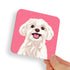 Maltese White Dog Coaster