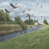 Birds of Beverley - 8" x 16"