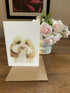 Greeting Card of a Cockapoo. Blank Inside