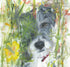 'Ollie' Watercolour Dog Terrier Painting Print A4 Mounted