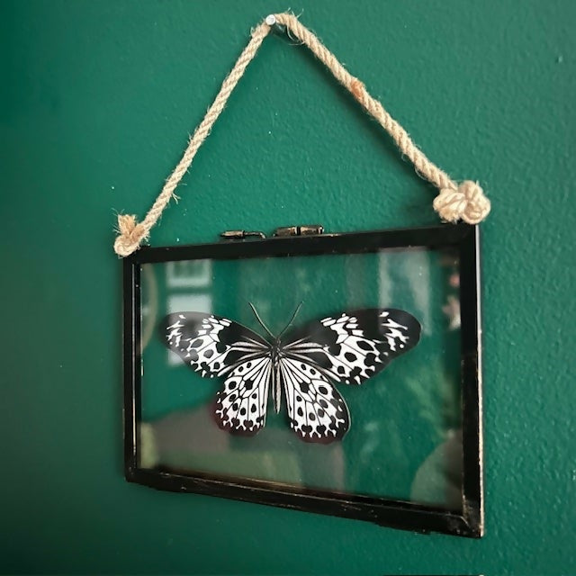 Lovely Faux Paper Black & White Andaman Tree Nymph In An Antique Inspired Frame