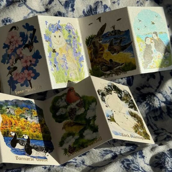 Wild Birds of the Year – Two-Volume Concertina Zine Set- Local Birds