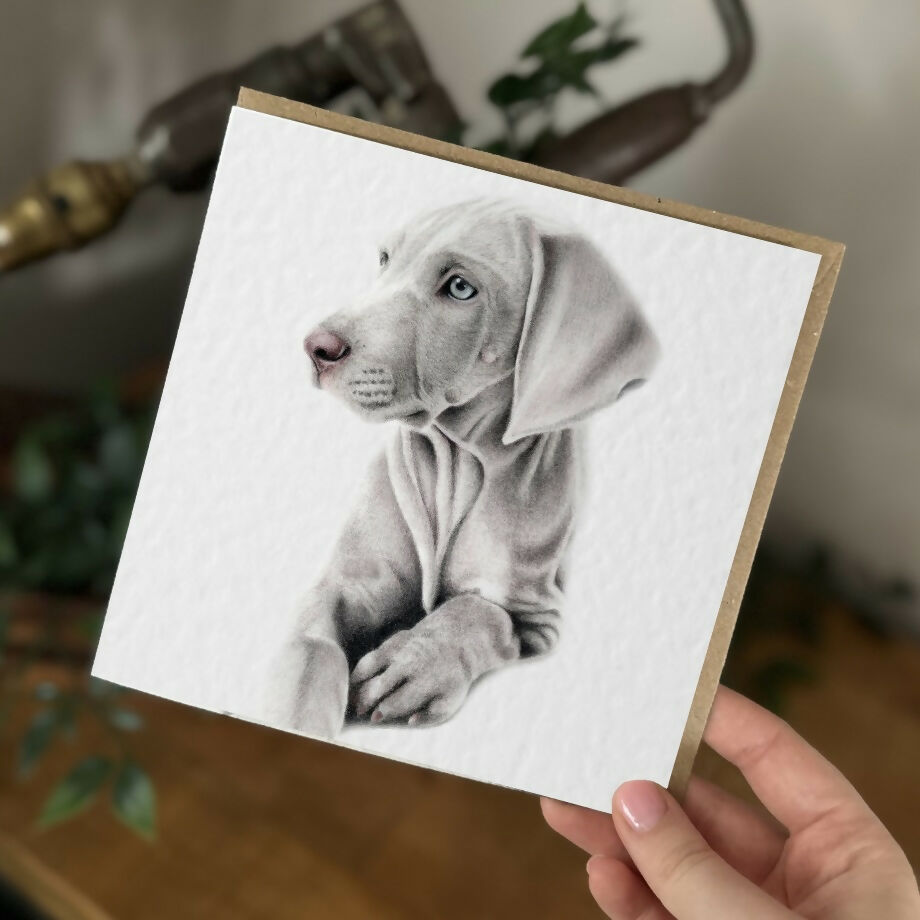 Weimaraner Dog Greeting Card – Pet Lover Gift – Blank Inside
