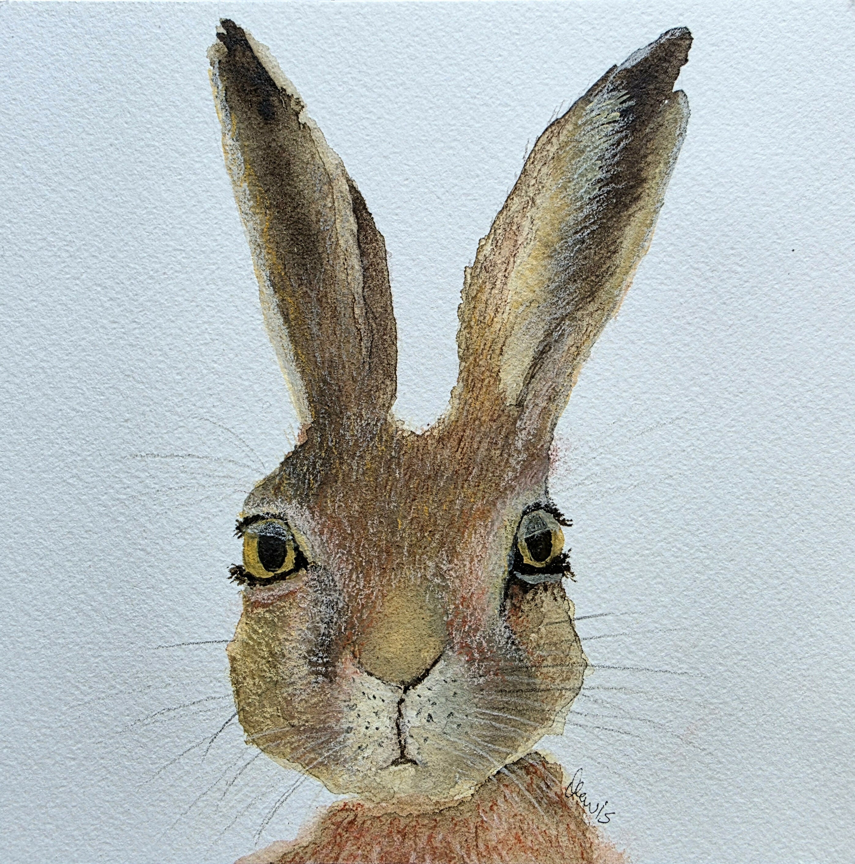 'Curious Hare' - Framed Original Mixed Media Painting