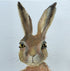 'Curious Hare' - Framed Original Mixed Media Painting