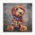 COCKAPOO DOG LYING DOWN - COLOUR SPLASH MOUNTED ARTWORK.