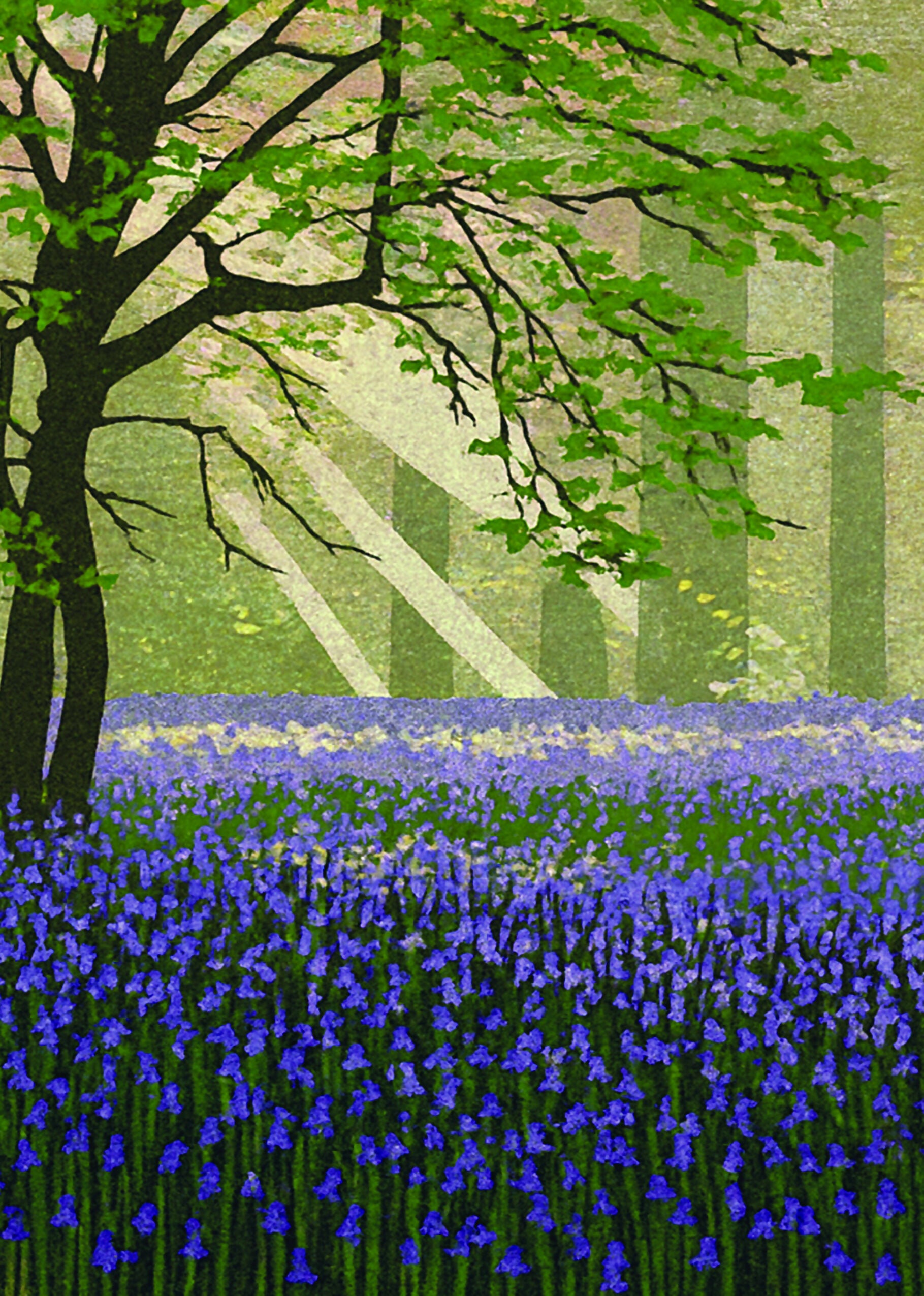 Bluebell Wood Greetings Card