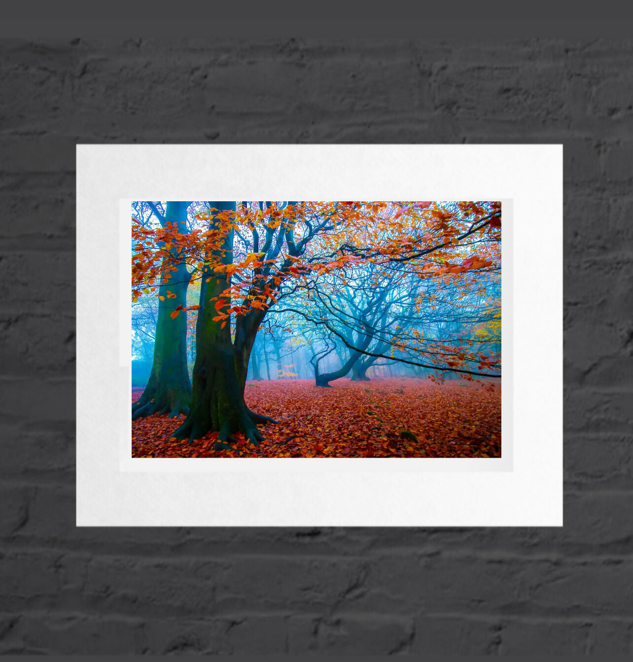 Autumn Mist, Golden Acre Park, Mounted Photographic Print