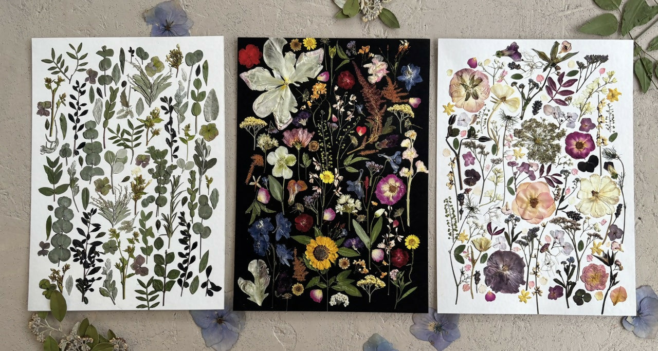 Pink & Purple Giclee Print A5