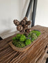 Cypress Tree Teak Bowl