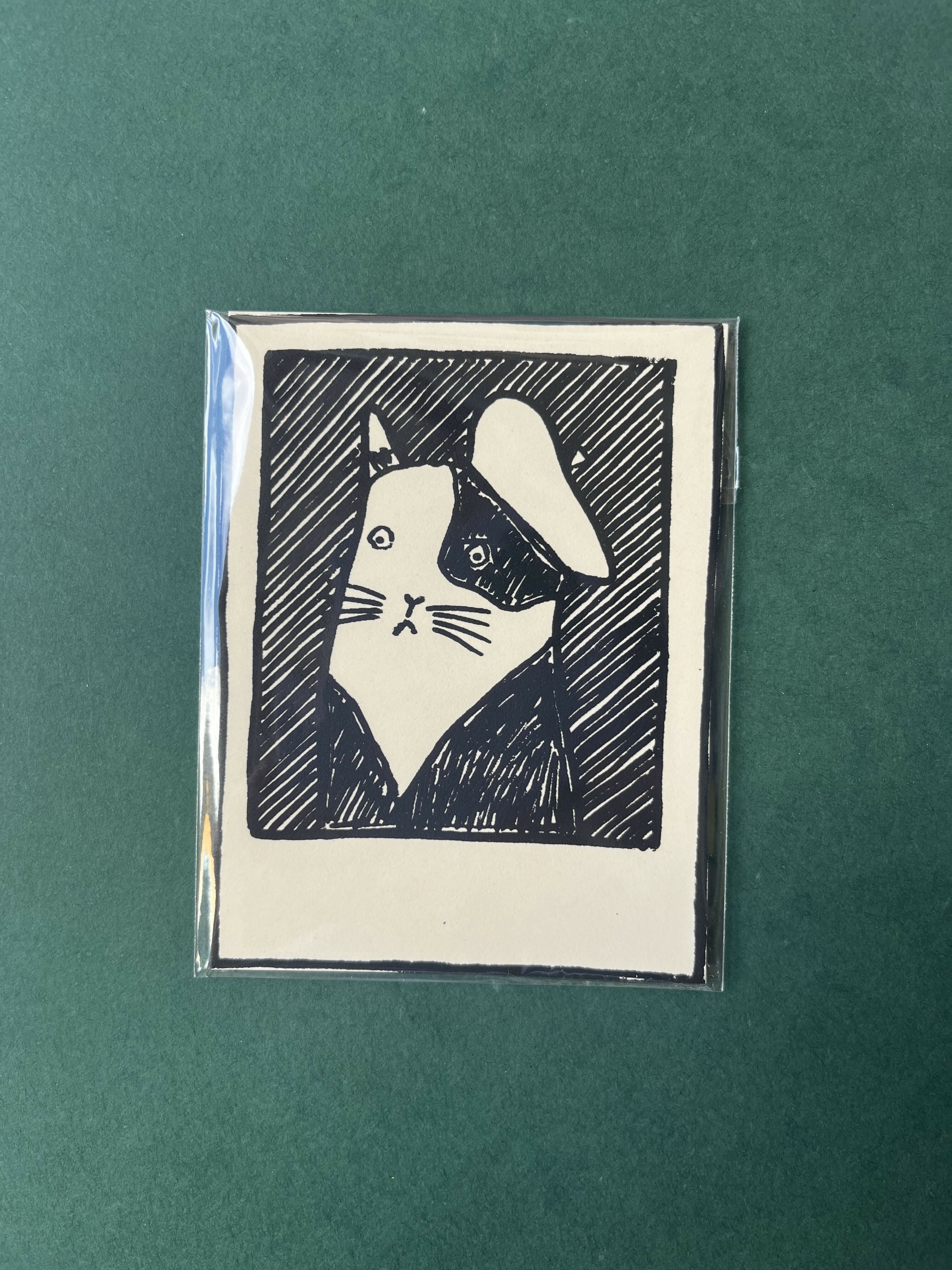 Pet Polaroid Print - Beret Cat