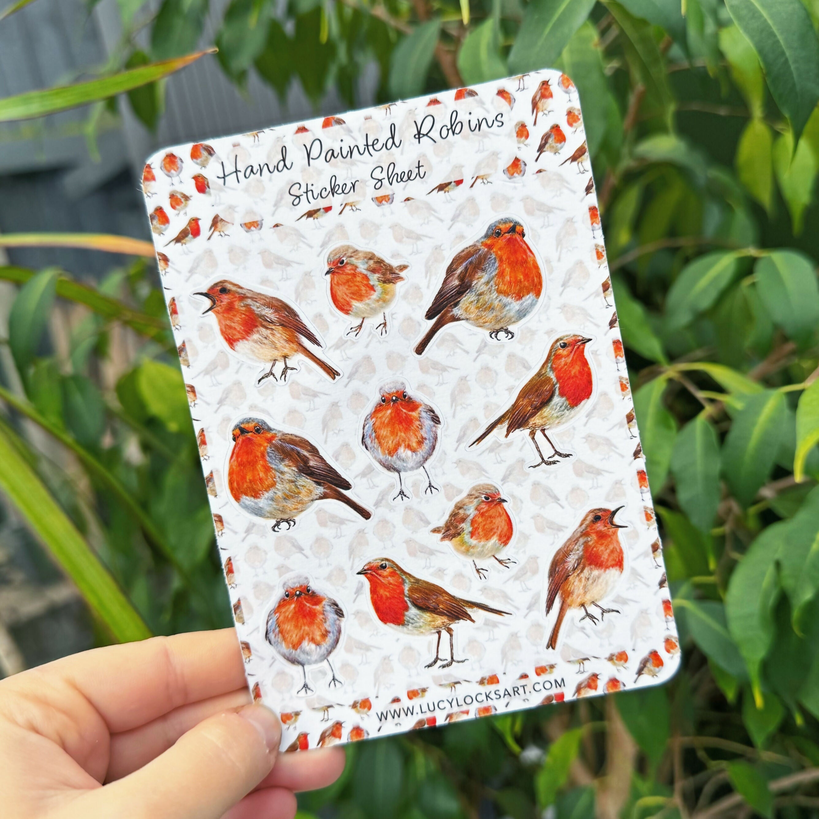 Robin - Matt Sticker Sheet