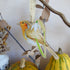 Robin and Snowdrop Hanging Wooden Decoration