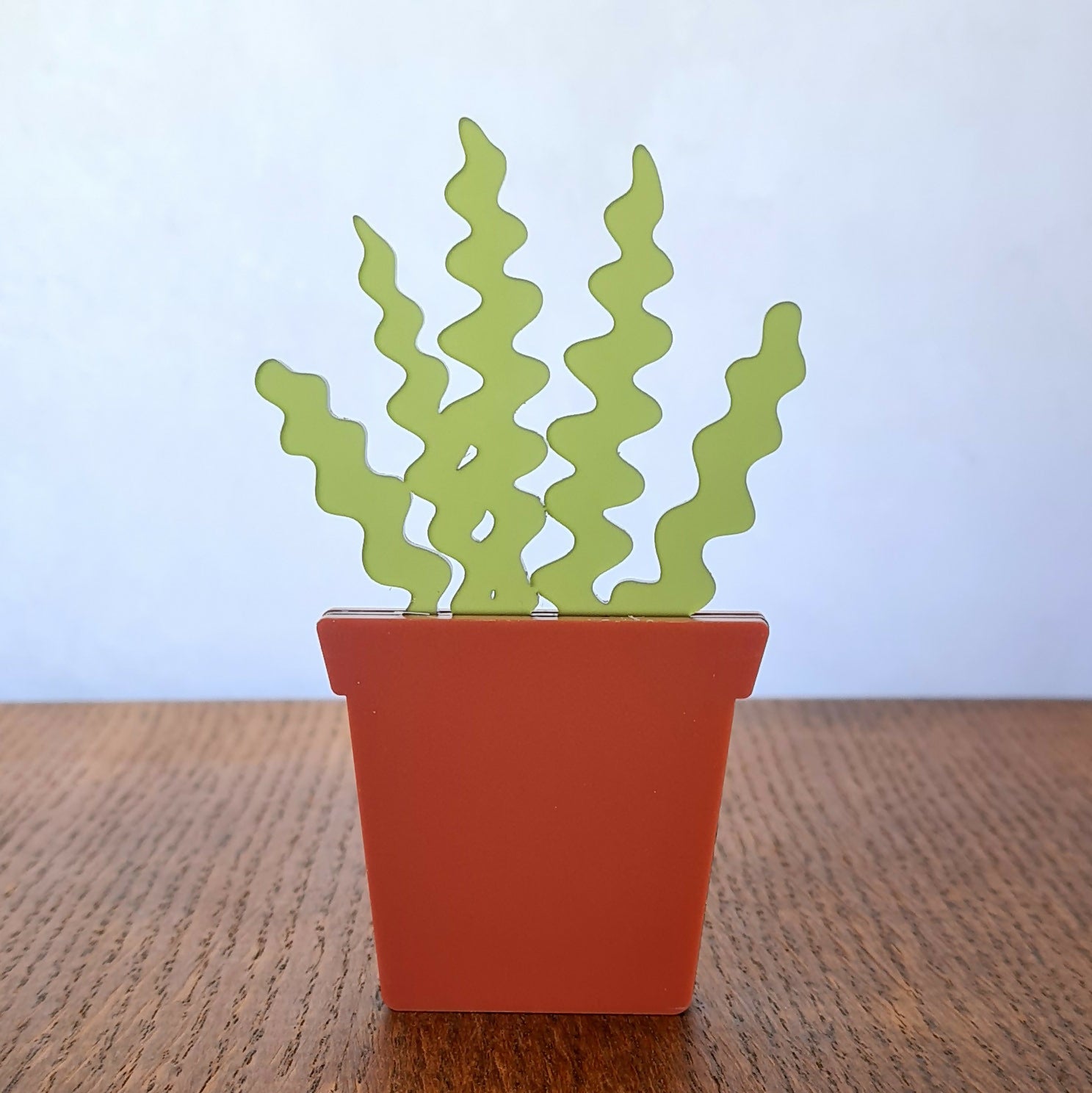 Houseplant - Shelf sitters