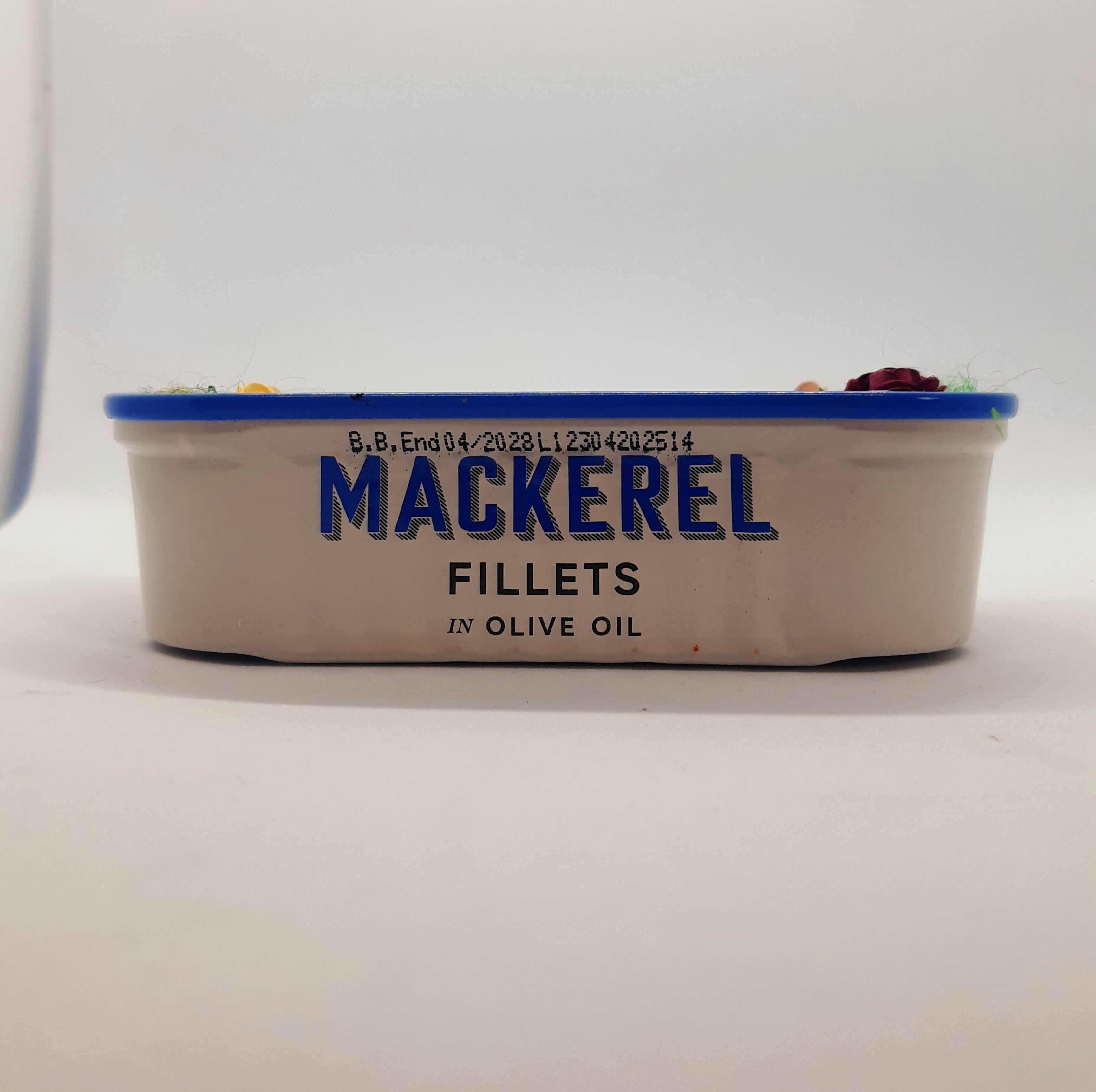 Toadstool and Hedgehog Desk Pet/Buddy Tin