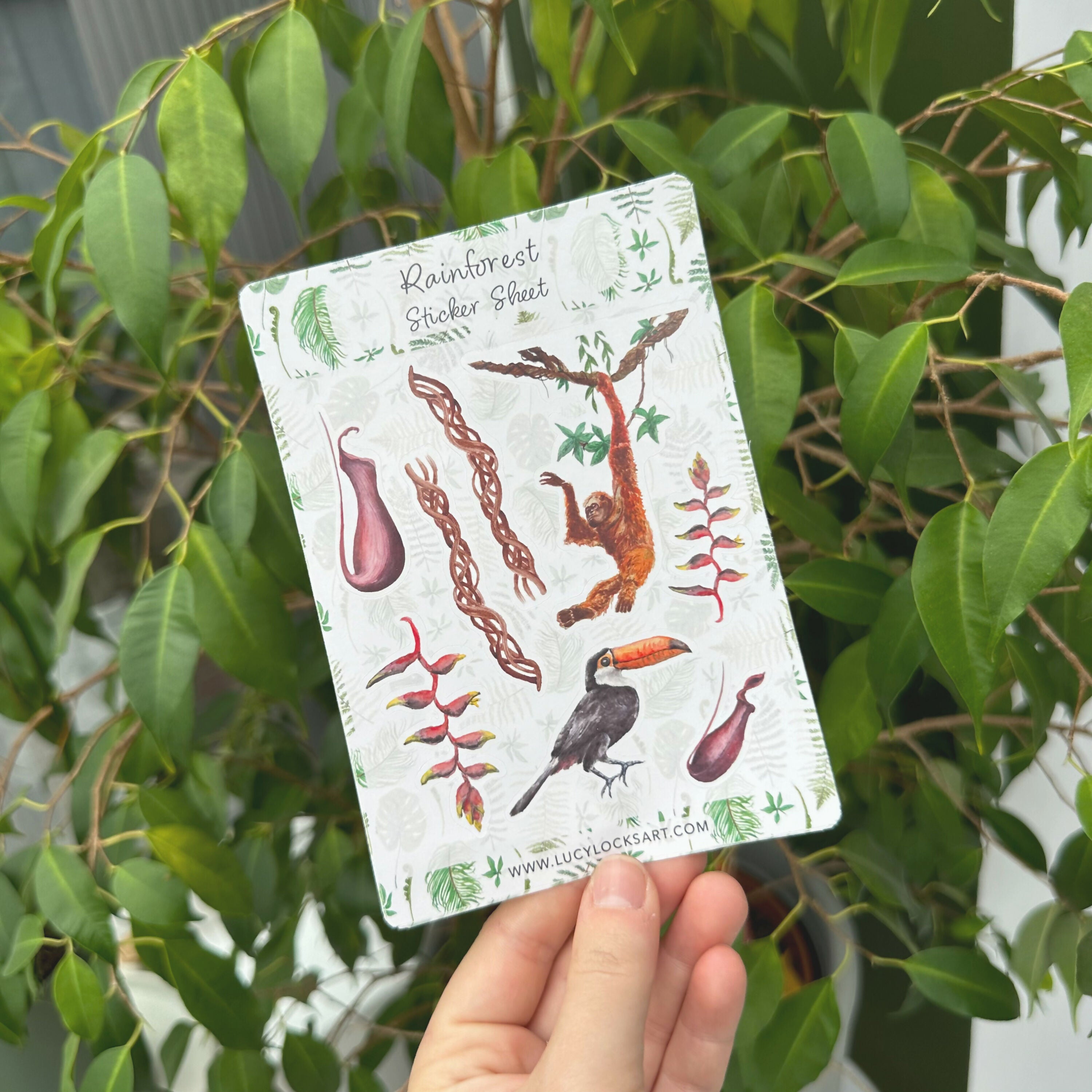 Rainforest - Matt Sticker Sheet