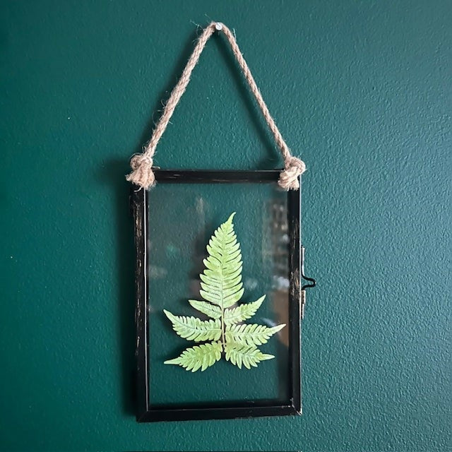 Lovey Faux Paper Fern Leaf In An Antique Inspired Frame