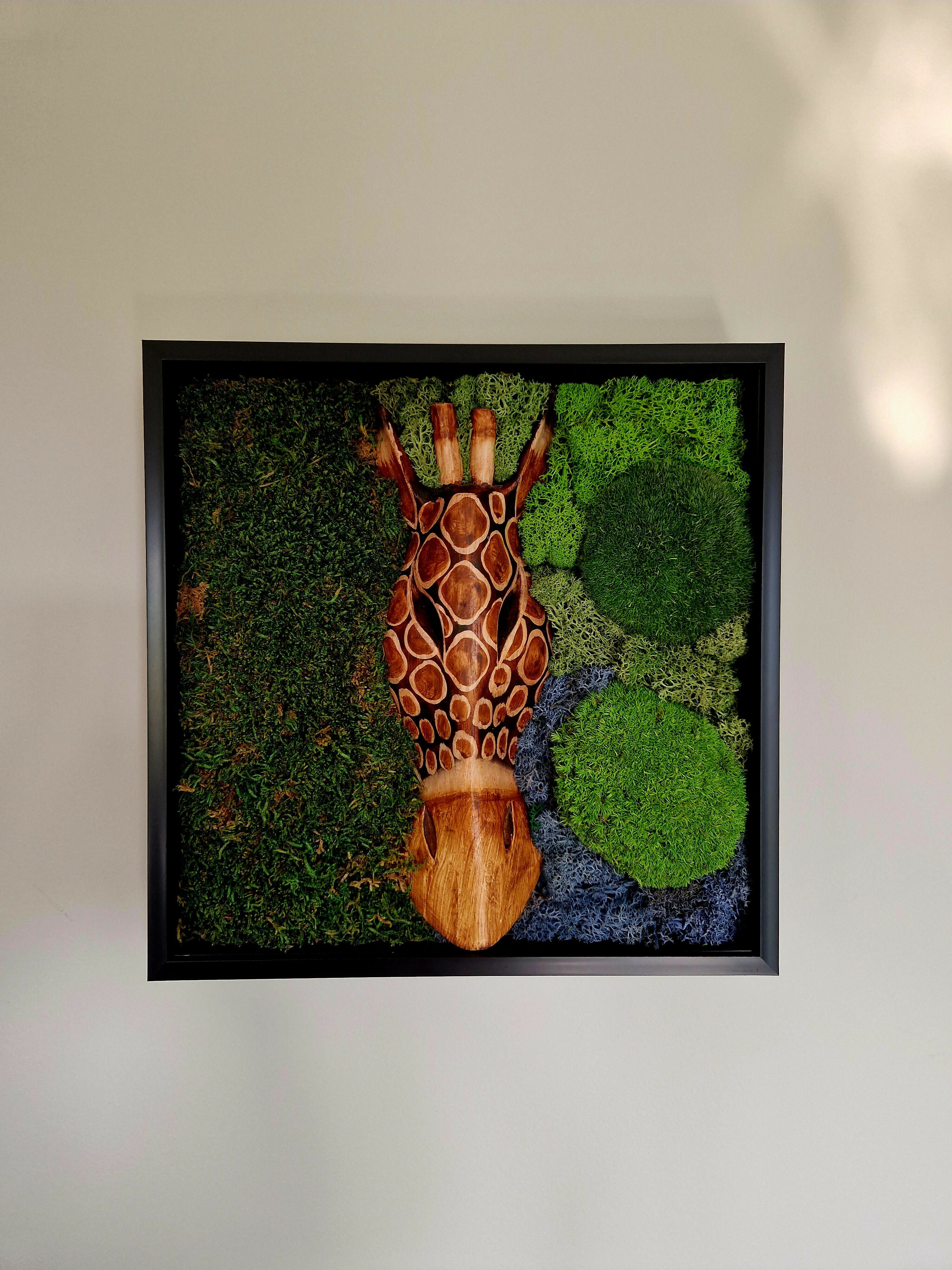 African Giraffe