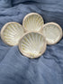 Small Shell Trinket Dish