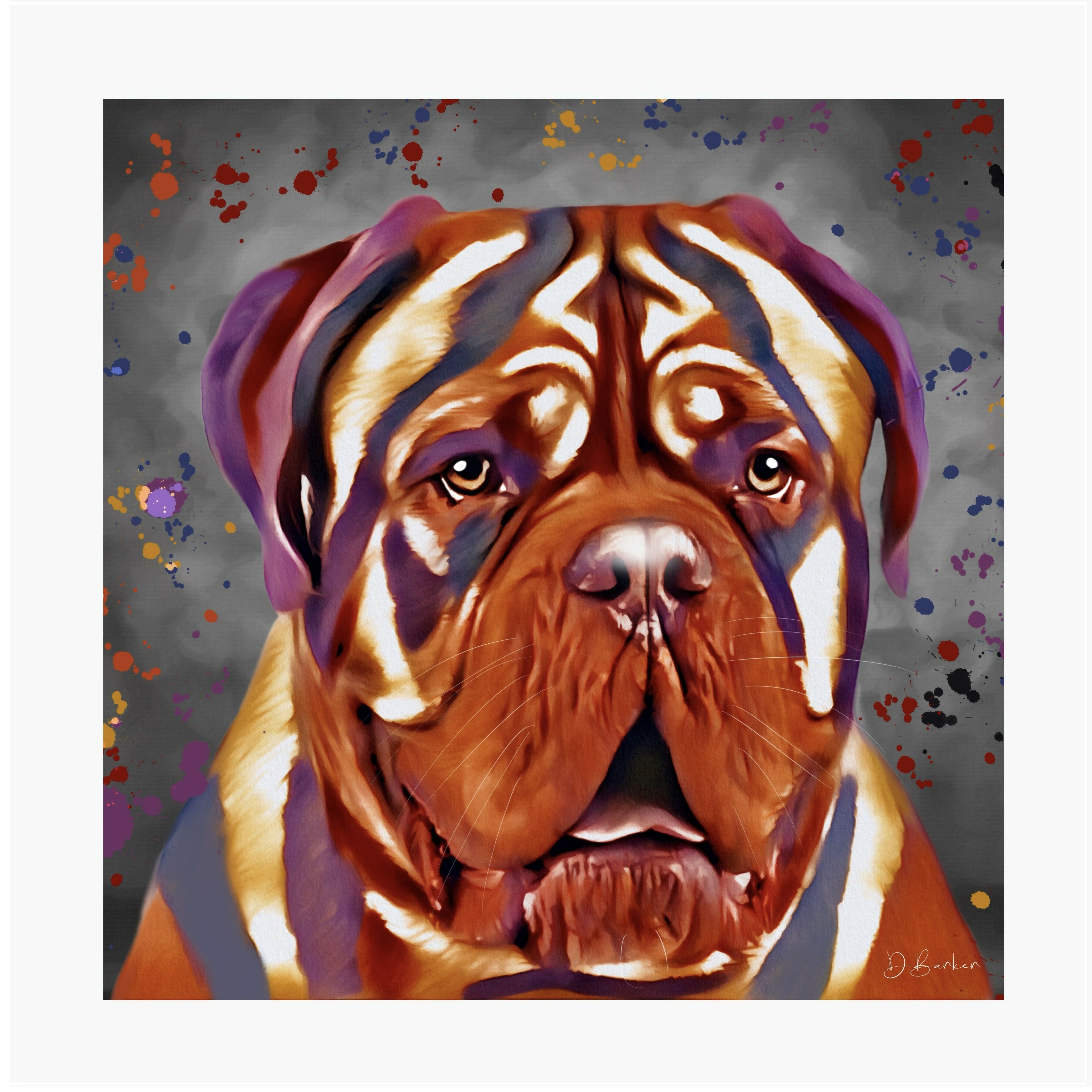 DOGUE DE BORDEAUX COLOUR SPLASH MOUNTED ARTWORK.