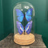 Stunning Glass Dome Featuring Faux Paper Morpho Butterflies