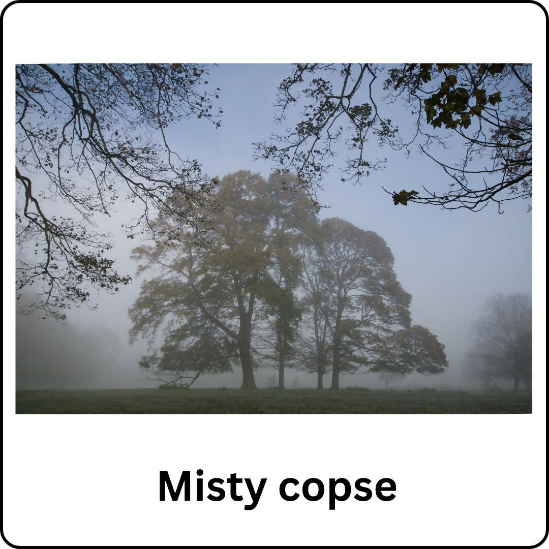 Misty Copse - Print in 40cm x 30cm Mount