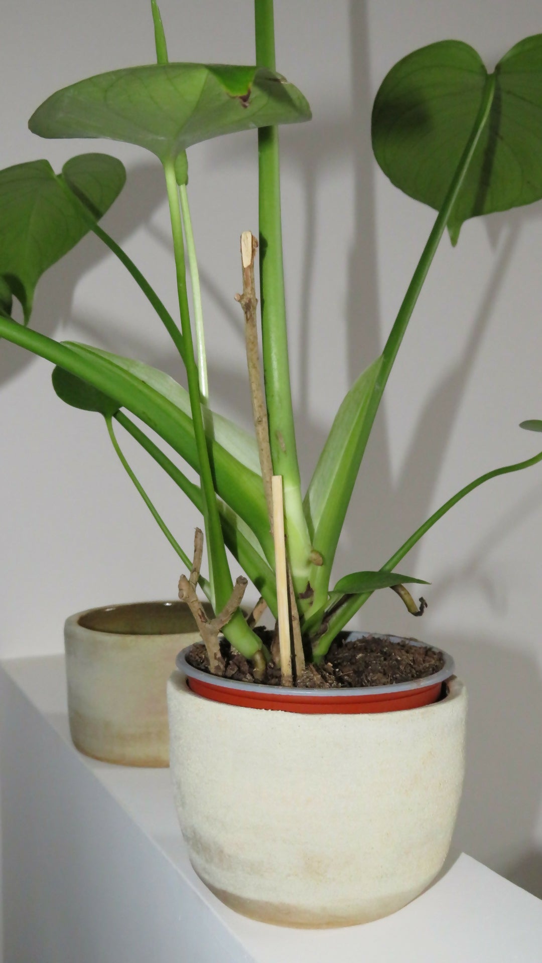 TEXTURED PLANT POT