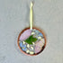 Pressed Flower Frame