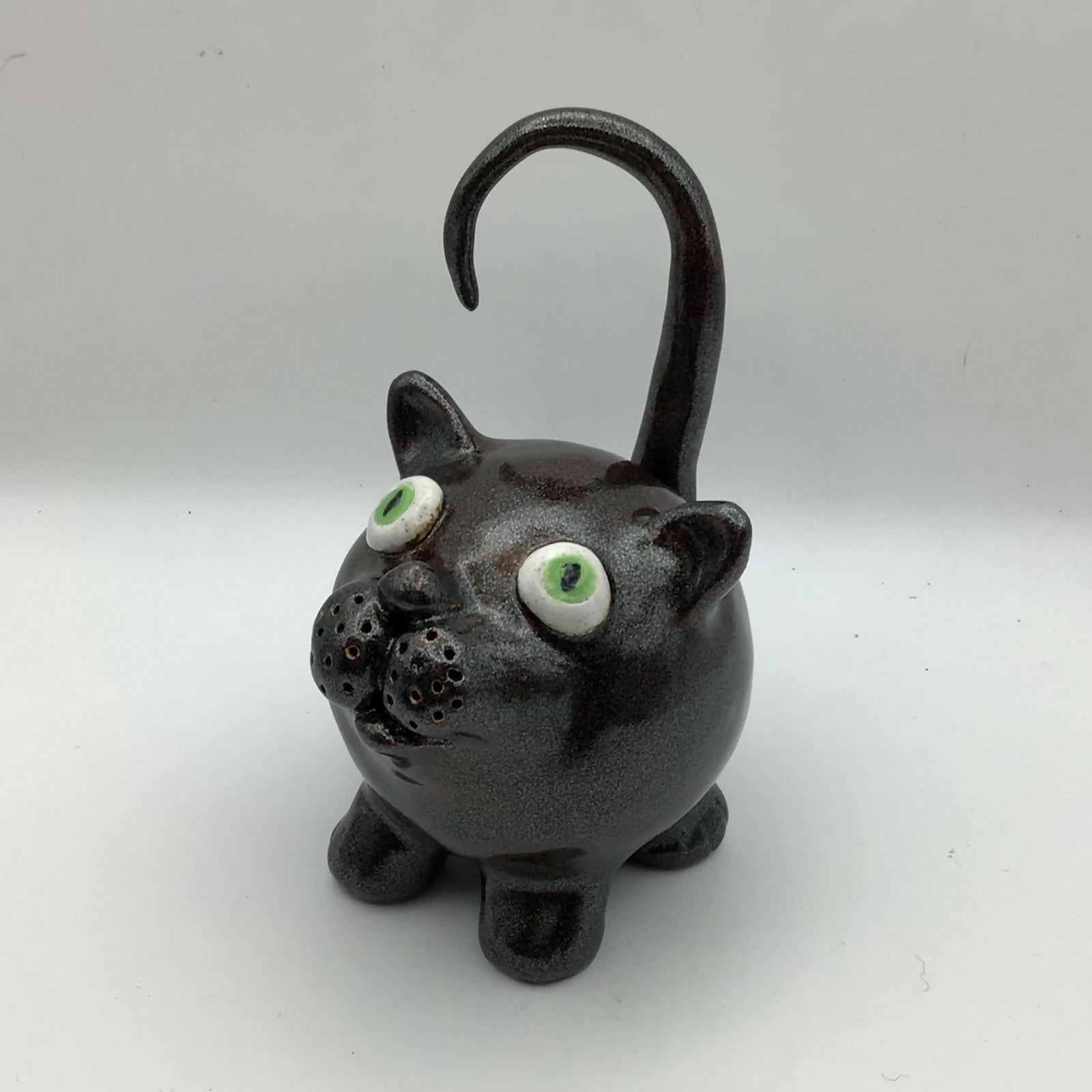 Curious Comet Cat