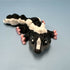 3D Printed SMALL: Articulated Sensory Fidget Animal friends Skunk 12cm