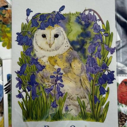 A5 Wild birds Prints