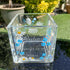 Engraved Cube or Suncatcher