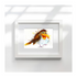 FINE ART PRINT OF ELVIS THE ROBIN, PART OF THE 'ANIMAL ART COLLECTION'
