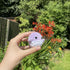 Crochet WorryWhales® & Pocket Whales