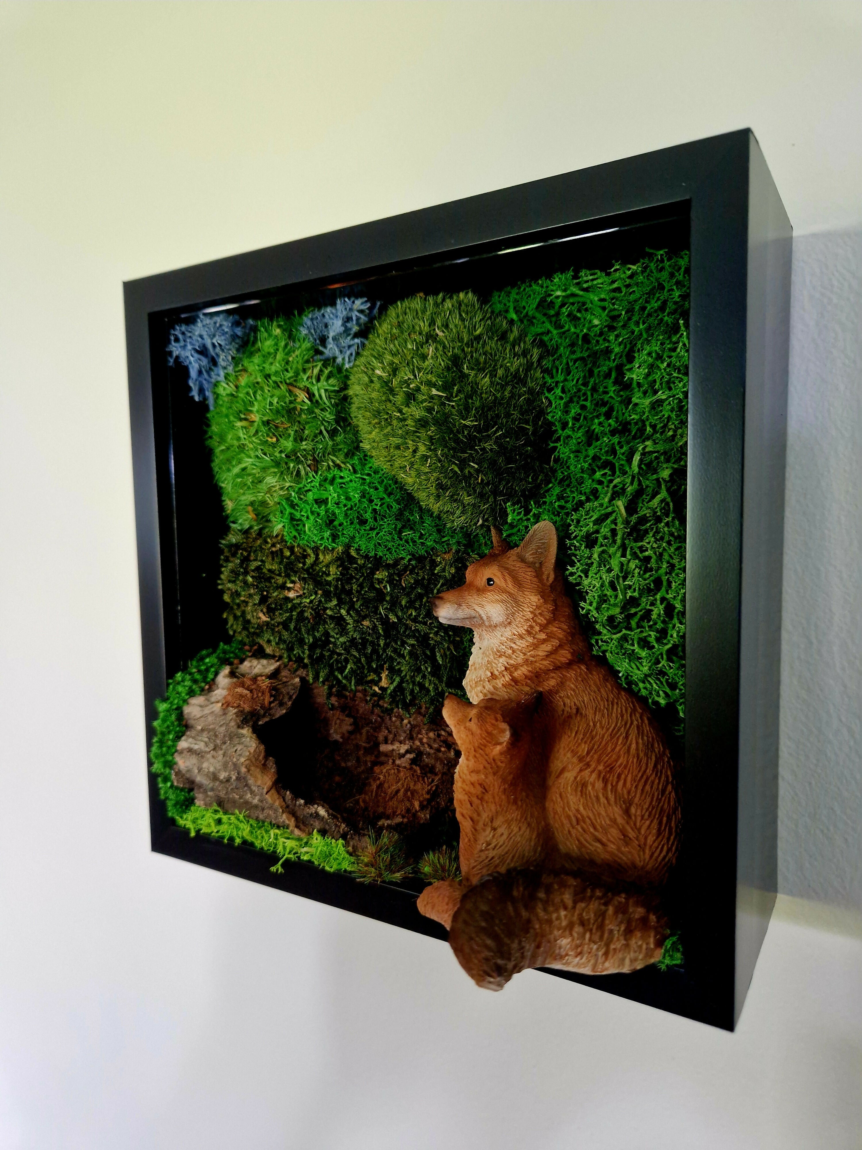 Fox And Cub