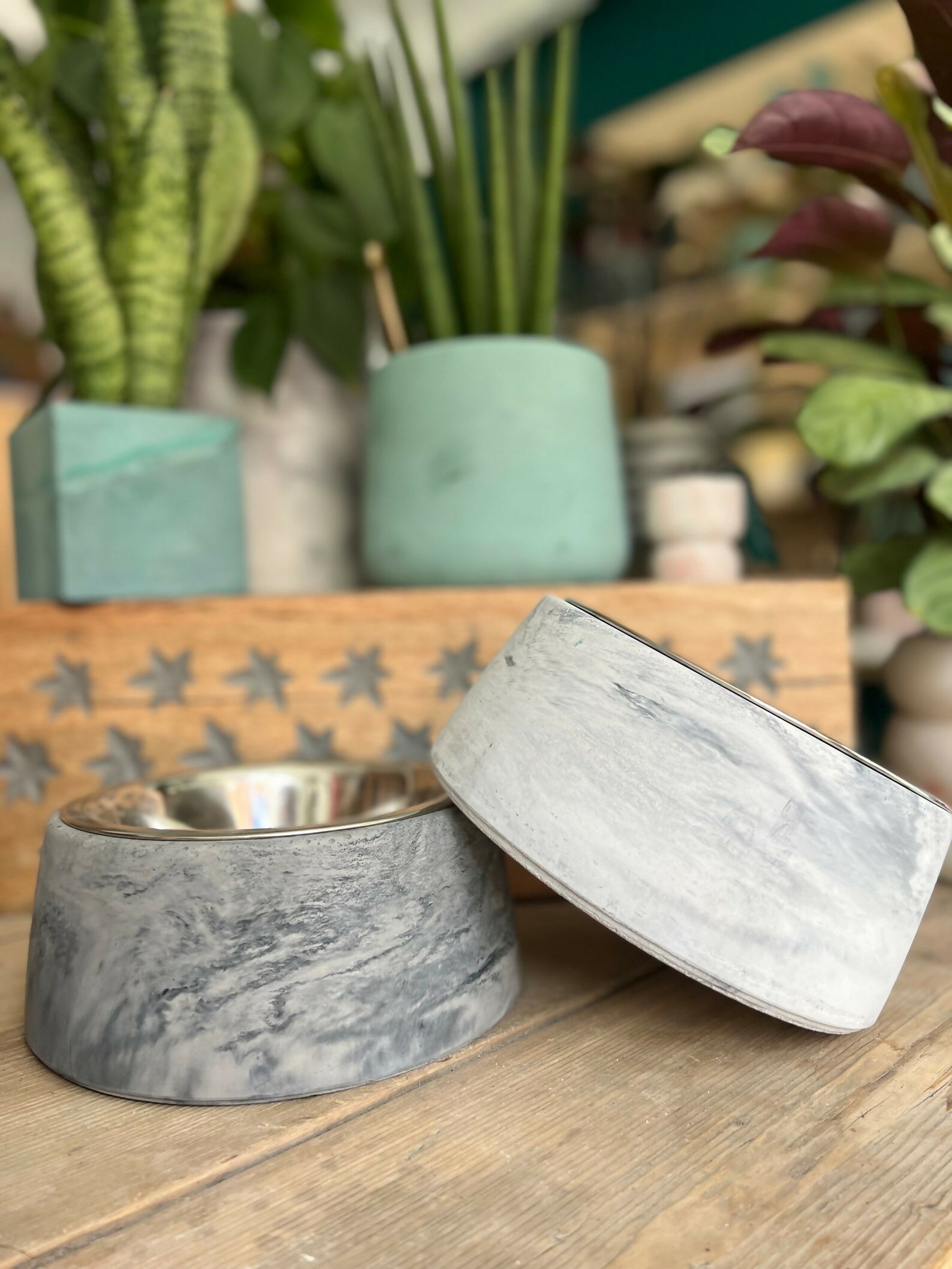 Concrete Pet Bowl