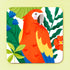 Red Parrot Coaster
