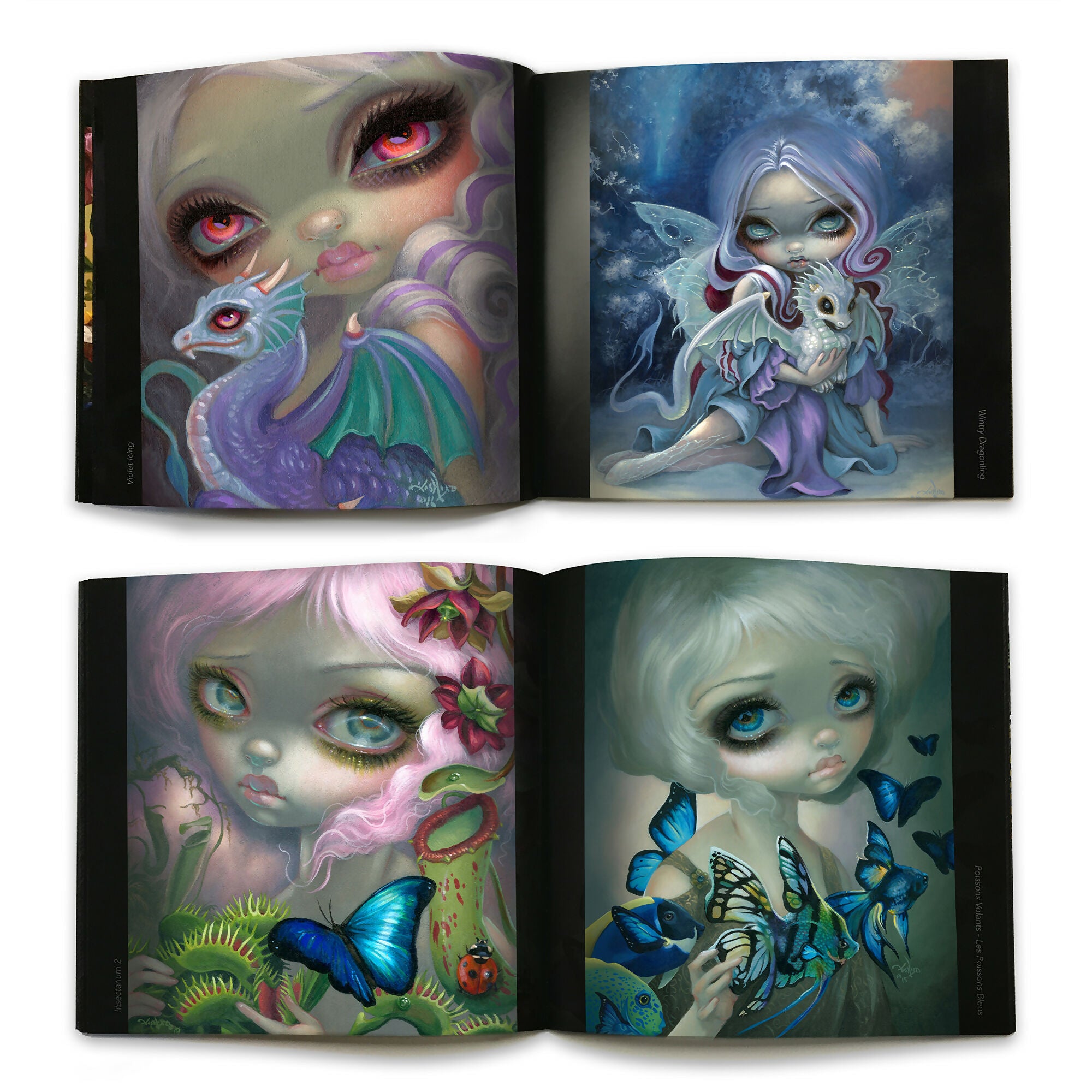 The Little Book of Fairies